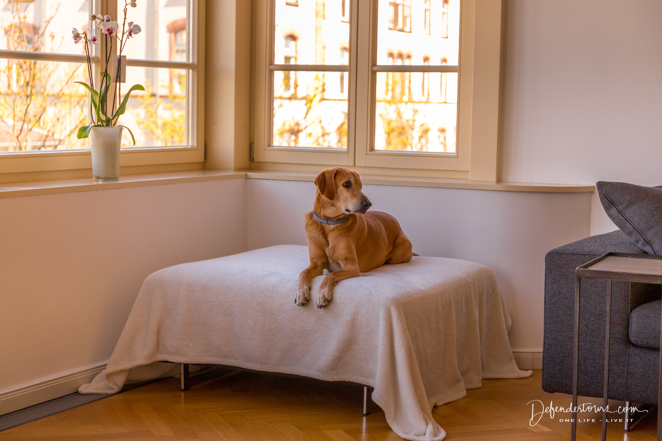 Heidelberg_04_20201 Defender Tours